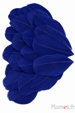 Pluimenblaadjes - 6-8 cm x 3-4 cm - donkerblauw
